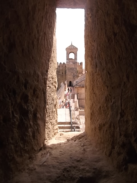 View from the towers